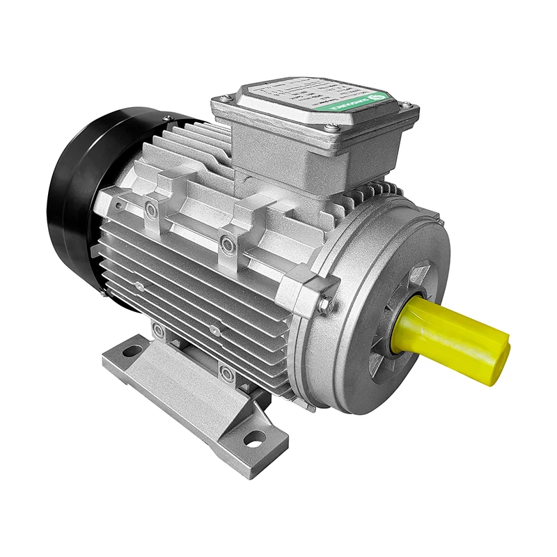 3 Phase AC Induction Motor